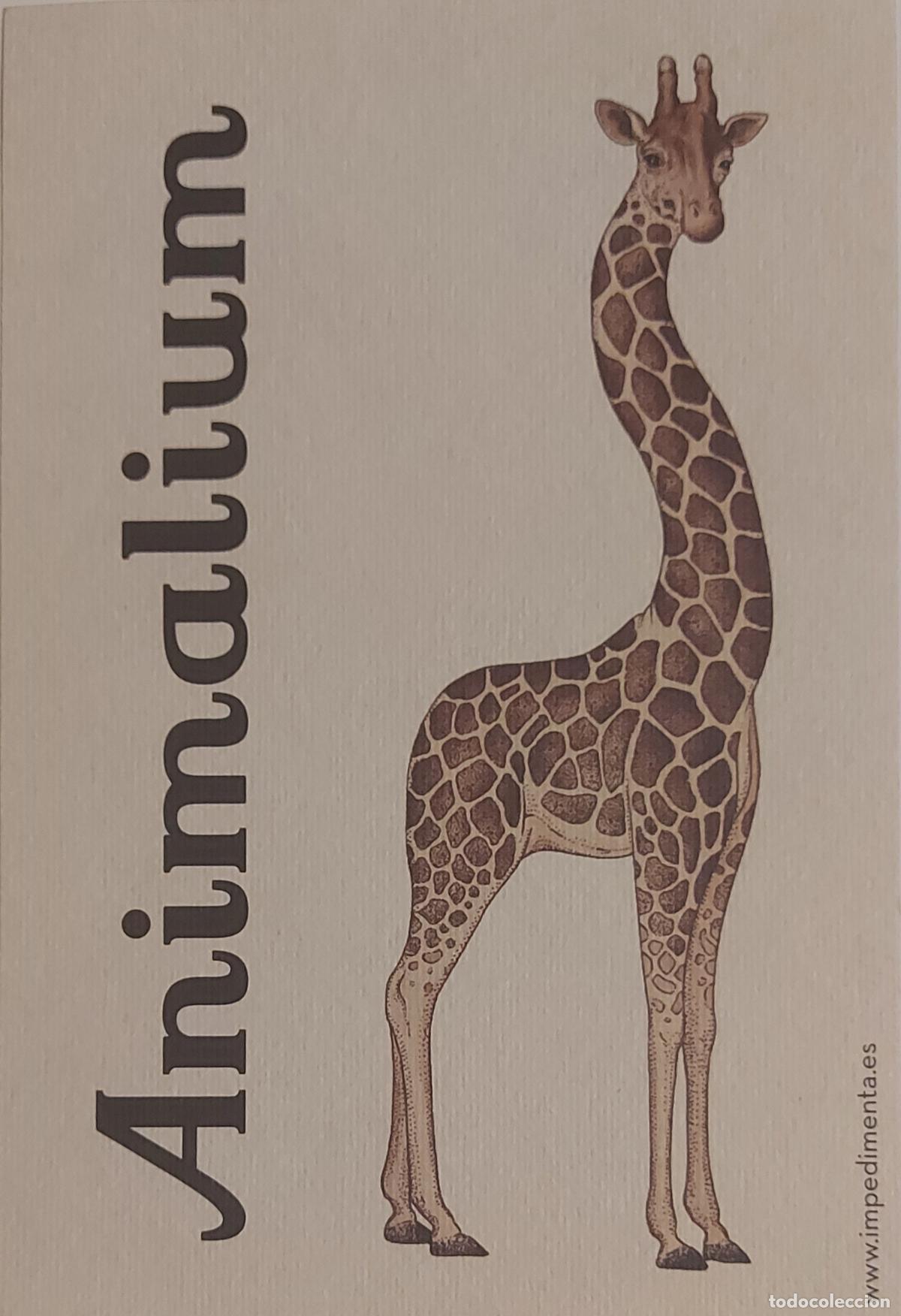 Coleccionismo marcap&aacute;ginas: MARCAPAGINAS - IMPEDIMENTA - ANIMALIUM