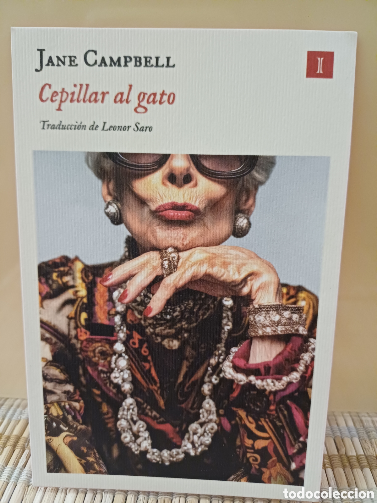 Coleccionismo marcap&aacute;ginas: Marcap&aacute;ginas Cepillar al gato