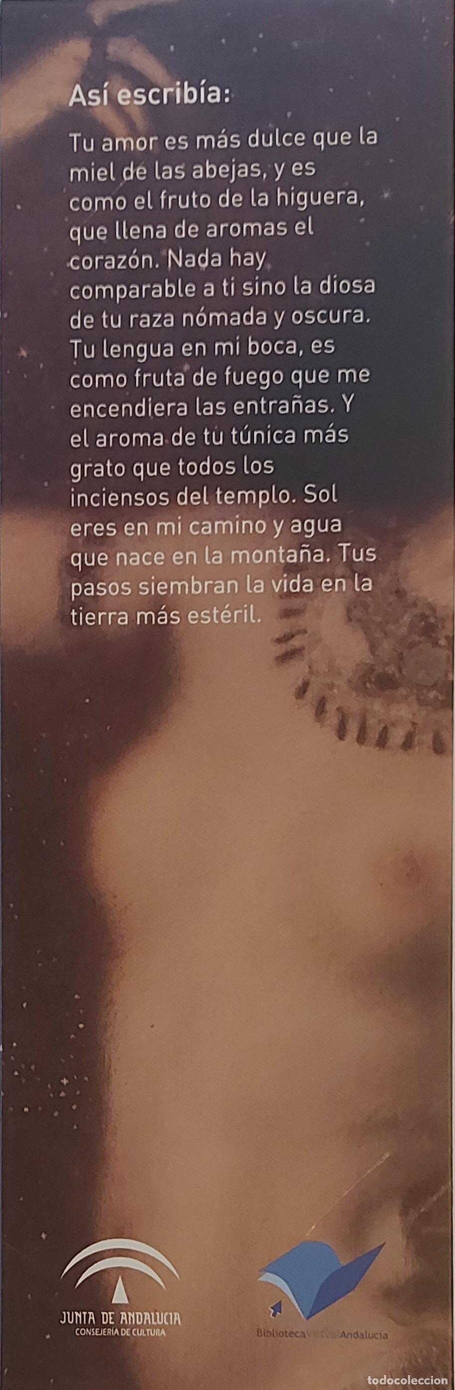 Coleccionismo marcap&aacute;ginas: MARCAP&Aacute;GINAS - BIBLIOTECA VIRTUAL-DIPTICO - Foto 2