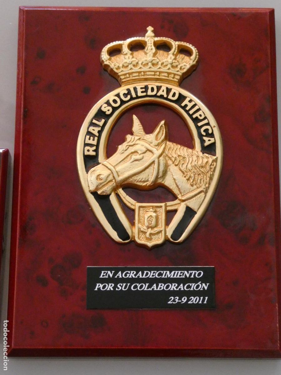 Sammelleidenschaft Sport: METOPA CUADRO DE LA REAL SOCIEDAD H&Iacute;PICA DE GRANADA. 18X13CM. 310GR