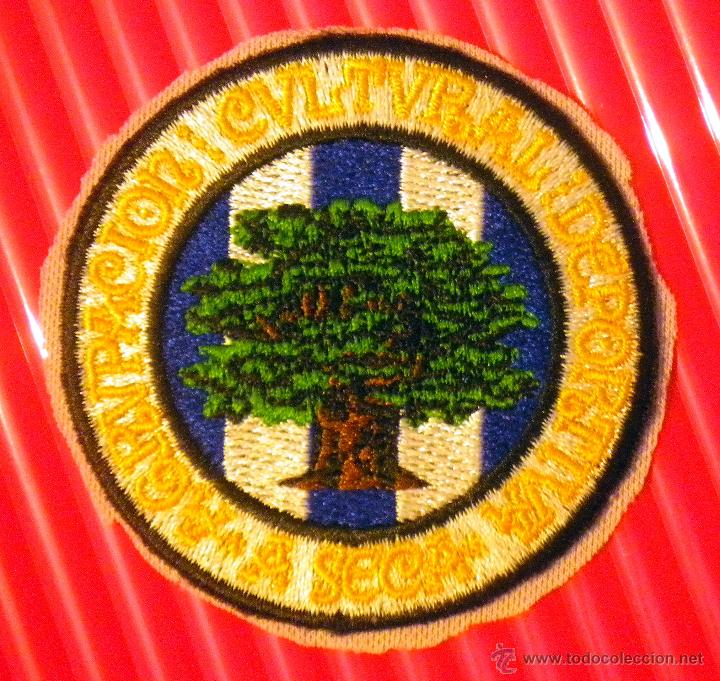 Coleccionismo deportivo: ESCUDO FUTBOL AGRUPACION CULTURAL DEPORTIVA A SECA PARA CAMISETA