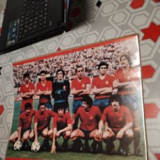 Coleccionismo deportivo: CARPETA PORTAFOLIOS 4 ANILLAS SELECCIÓN ESPAÑOLA FÚTBOL 1980 GORDILLO QUINI ZAMORA ARCONADA