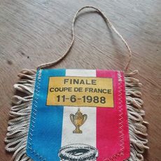 Football. Coupe de France : La large victoire du FC Sochaux en images Football. Coupe de France : La large victoire du FC Sochaux en images
