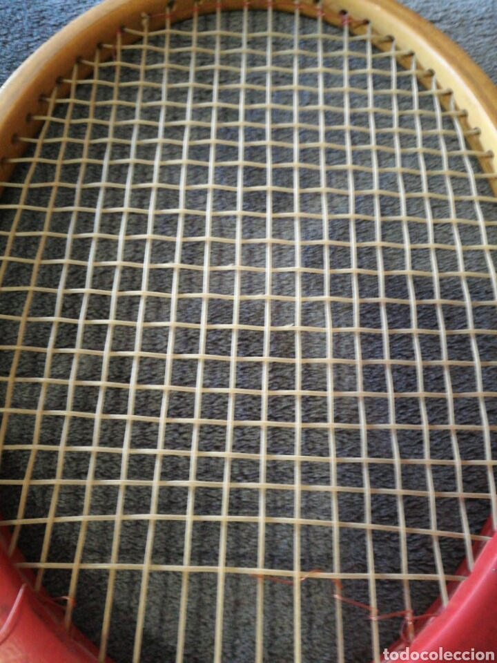 Coleccionismo deportivo: Raqueta de tenis Slazenger Jupiter - Foto 6