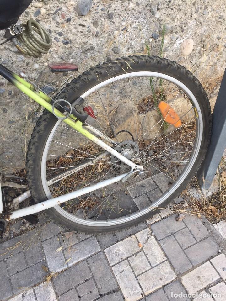 Coleccionismo deportivo: BICICLETA ORBEA MTB - Foto 6