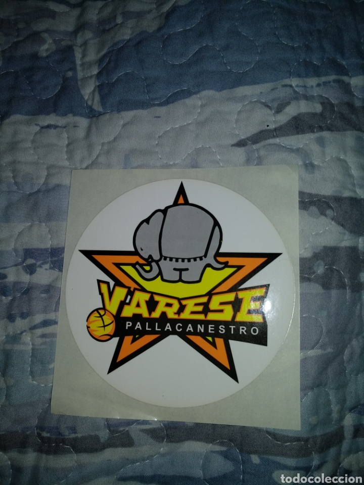 Coleccionismo deportivo: Pegatina Varese Basket - Foto 1
