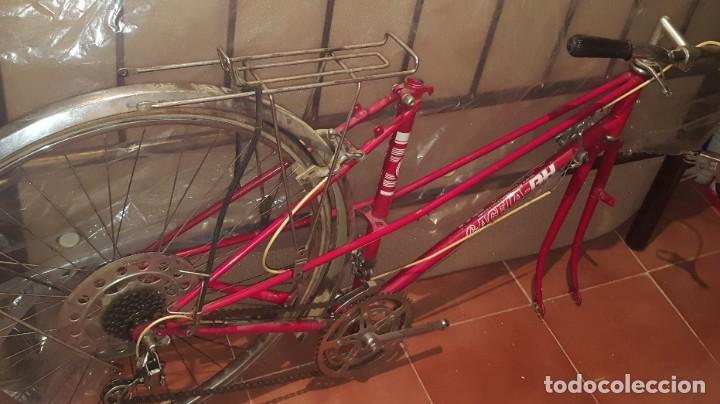 Coleccionismo deportivo: BICICLETA MARCA GACELA BH - Foto 2