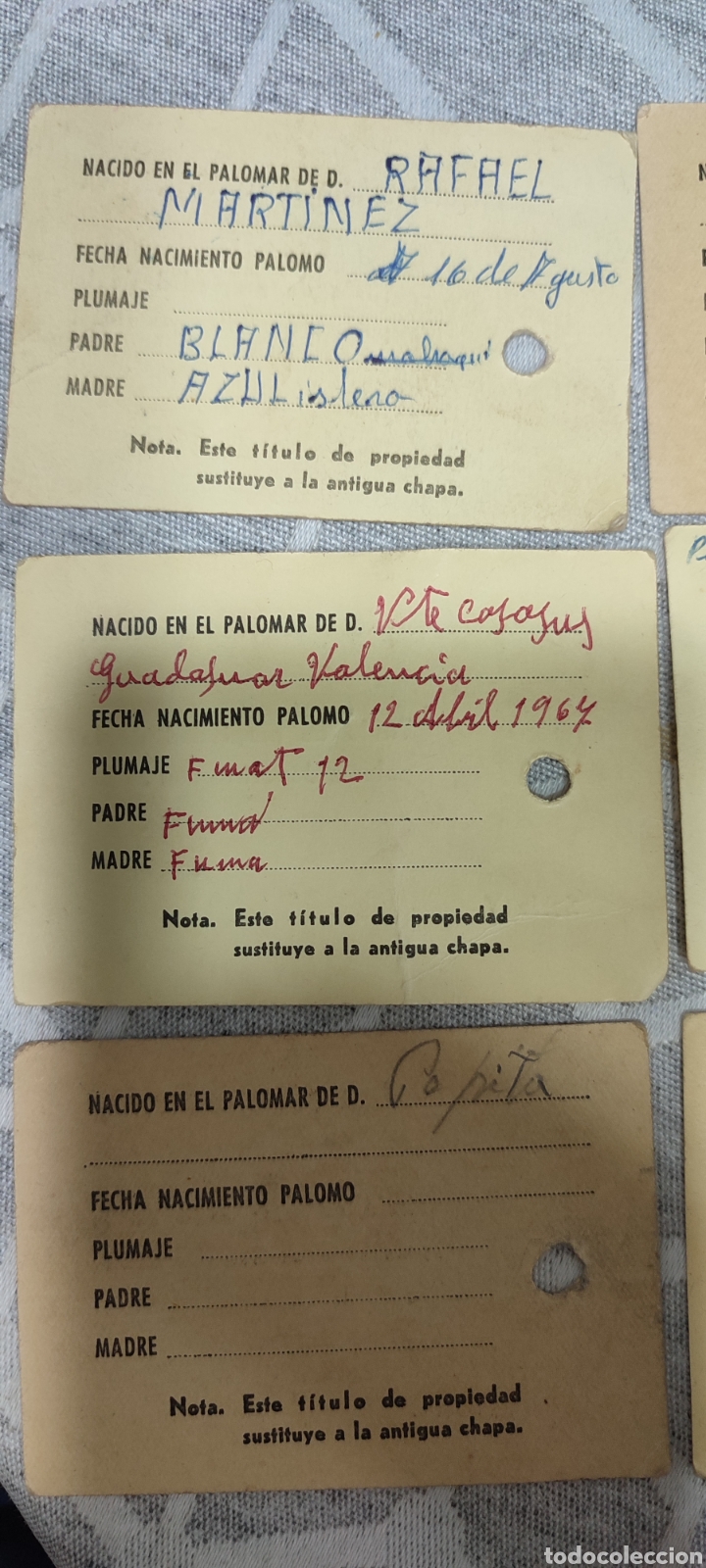 Collezionismo sportivo: Colombicultura tarjetas identidad(1965-1969)