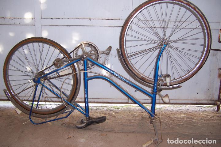 Coleccionismo deportivo: bicicleta Orbea - Foto 2