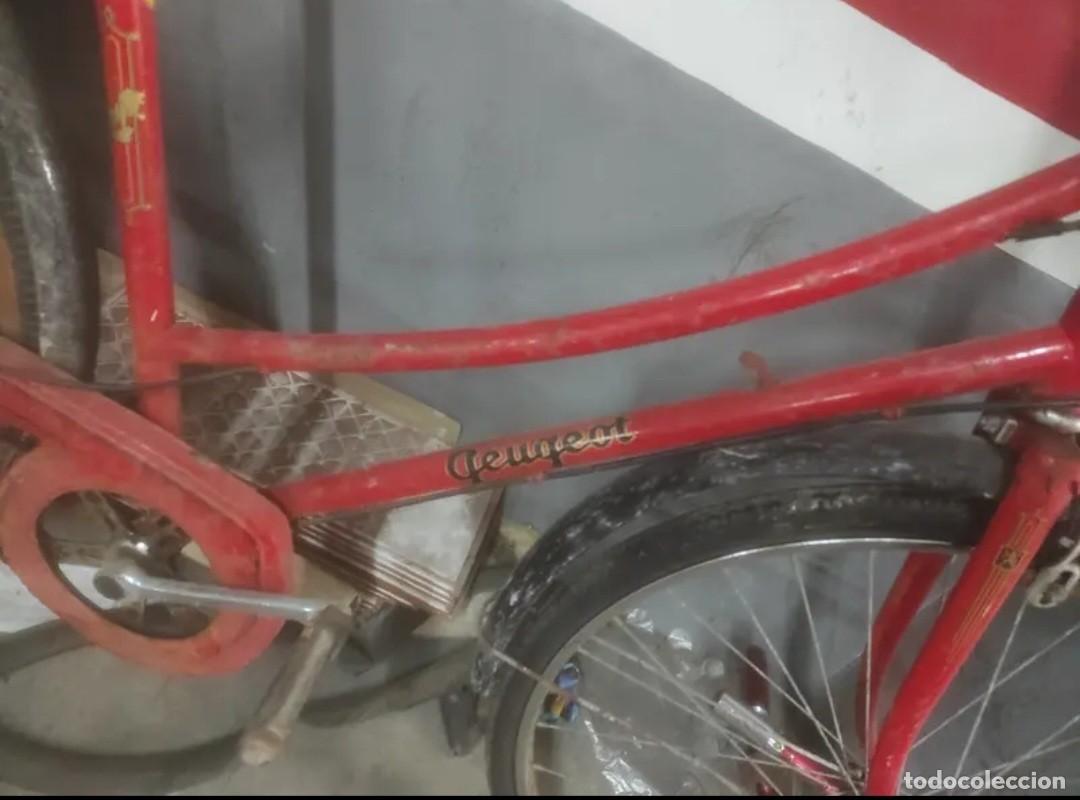 Coleccionismo deportivo: Bicicleta - Foto 2
