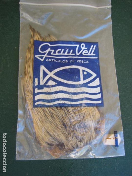 Collectionnisme sportif: 79.- Cuello de gallo chinchilla para montaje de moscas y streamers. Grau Vell