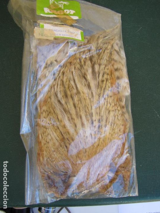 Collectionnisme sportif: 79.- Cuello de gallo Chinchilla para montaje de moscas y streamers. Ragot