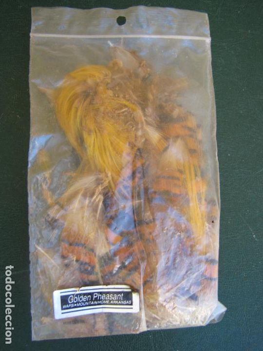 Collectionnisme sportif: 79.- Golden Pheasant. Plumas y cabeza de fais&aacute;n dorado. Moscas de pesca. Arkansas