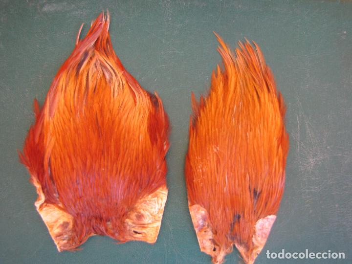 Collectionnisme sportif: 79.- Pareja de cuellos de gallo ginger naturales para montaje de moscas o bisuter&iacute;a