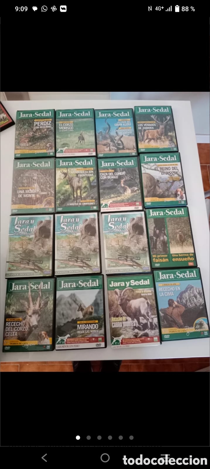 Coleccionismo deportivo: 87 dvd de caza - Foto 2