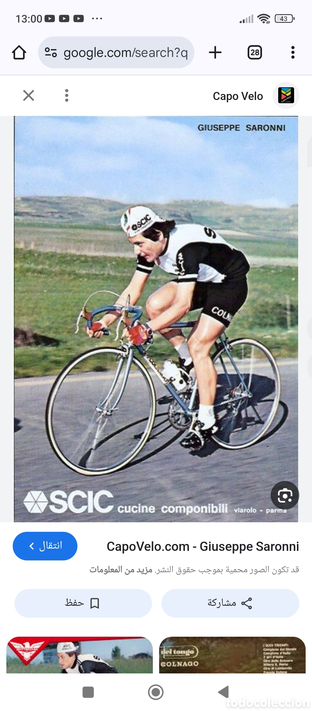 Coleccionismo deportivo: bicicleta carretera colango saronni - Foto 18