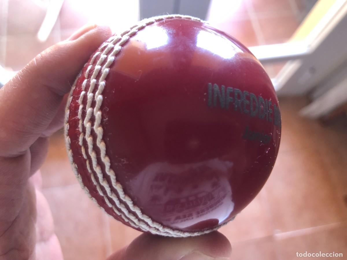 Coleccionismo deportivo: Bola de cricket INNREDDIE