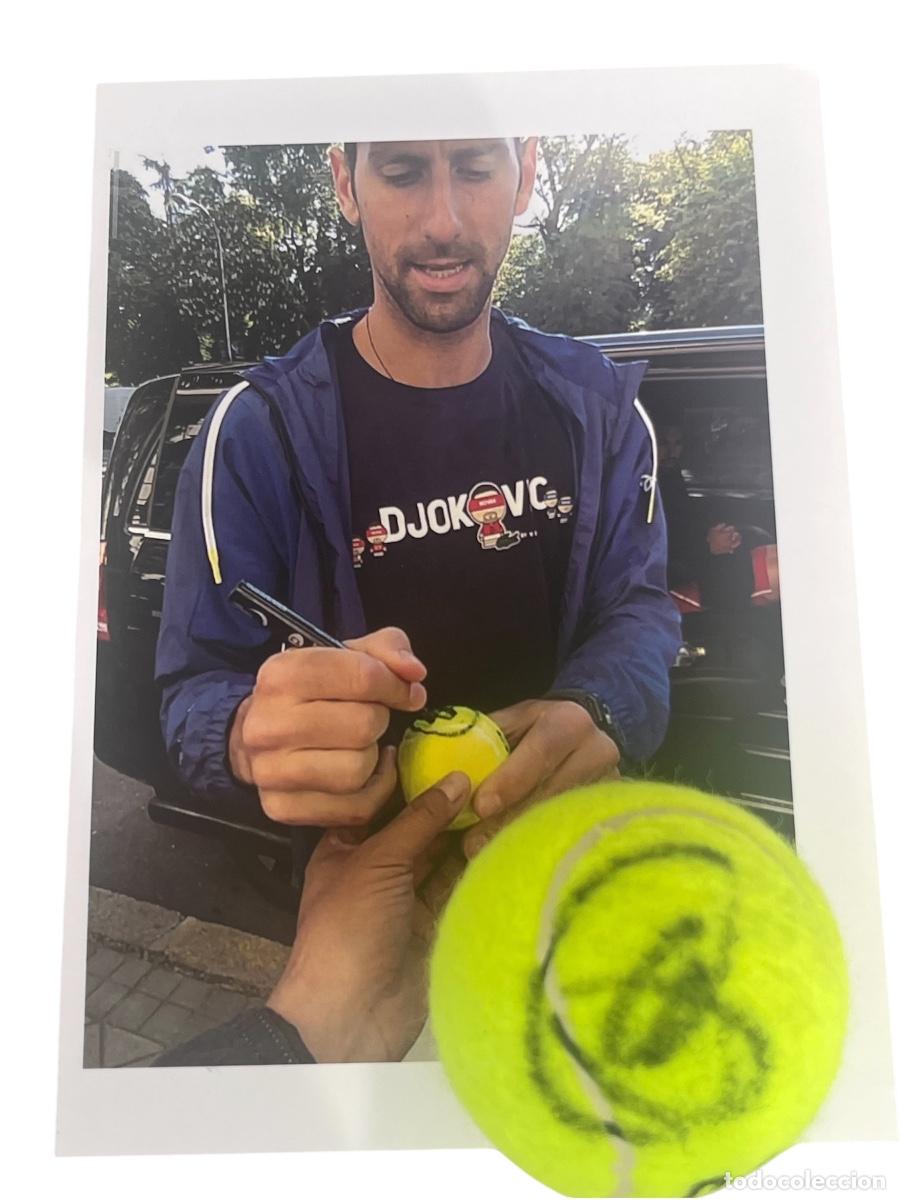Sammelleidenschaft Sport: PELOTA DE TENIS FIRMADA POR NOVAK DJOKOVIC.