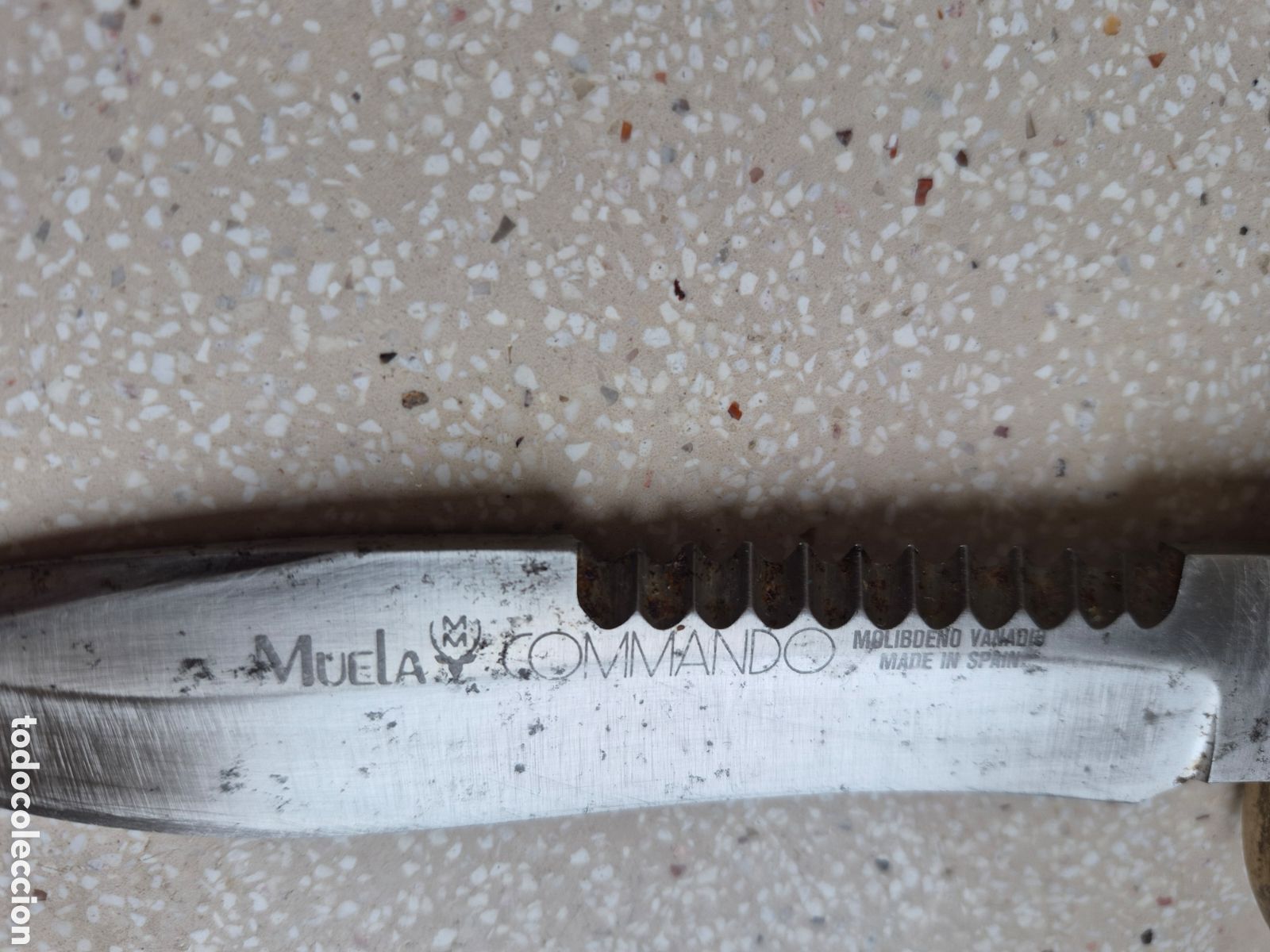 Coleccionismo deportivo: Cuchillo Marca MUELA Modelo Comando COMMANDO - 26,5 cm - MOLIBDENO - VANADIO. Leer . - Foto 2