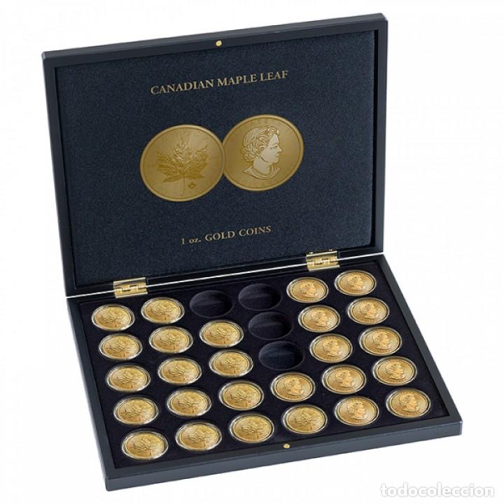 Material numism&aacute;tico: ESTUCHE PARA 30 MONEDAS DE ORO MAPLE LEAF EN C&Aacute;PSULAS - Foto 1