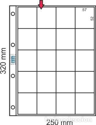 Material numism&aacute;tico: Hoja para monedas - 20 Departamentos cartones 50 x 50 - Album grande 4 anillas
