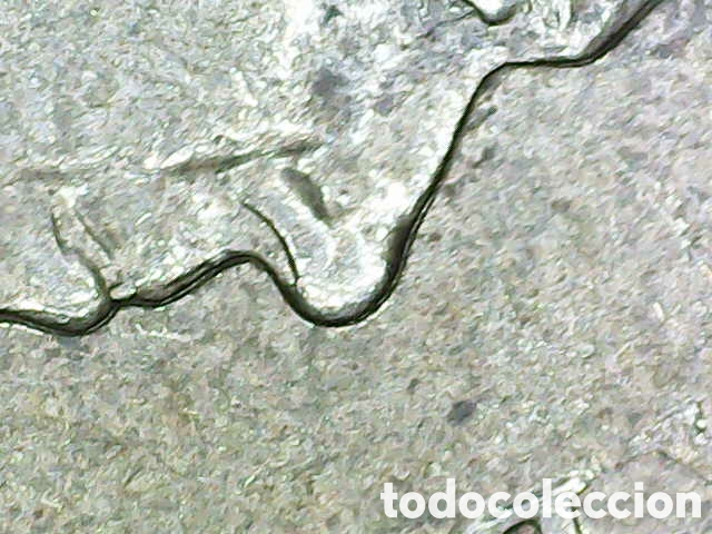 Material numism&aacute;tico: Un d&oacute;lar new Zelanda - Foto 6