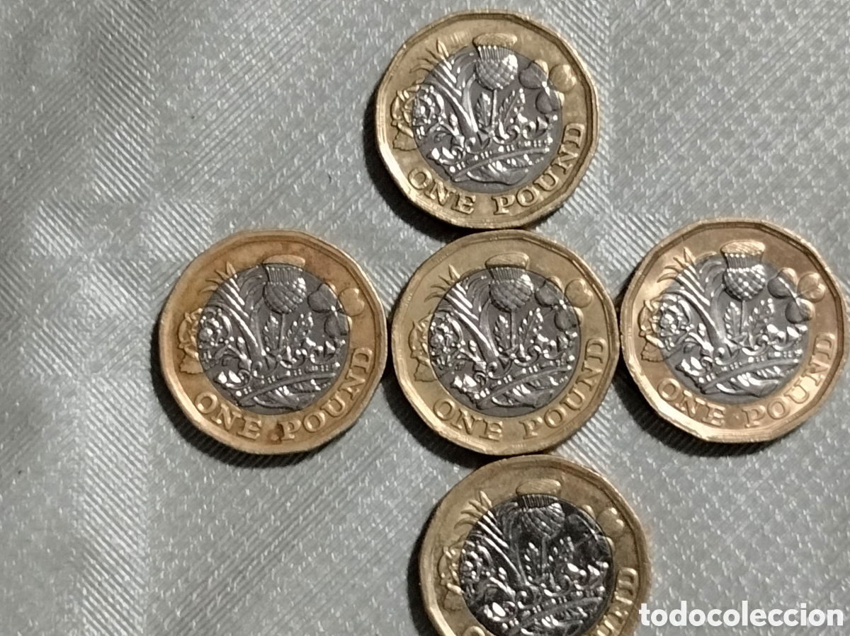 Material numism&aacute;tico: Moneda One pound 2016 .2019 - Foto 5