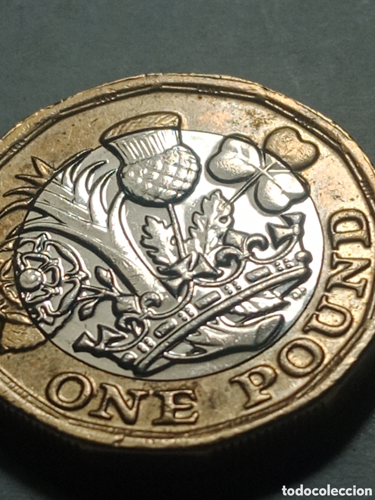 Material numism&aacute;tico: 1 moneda colecci&oacute;n one pound - Foto 5