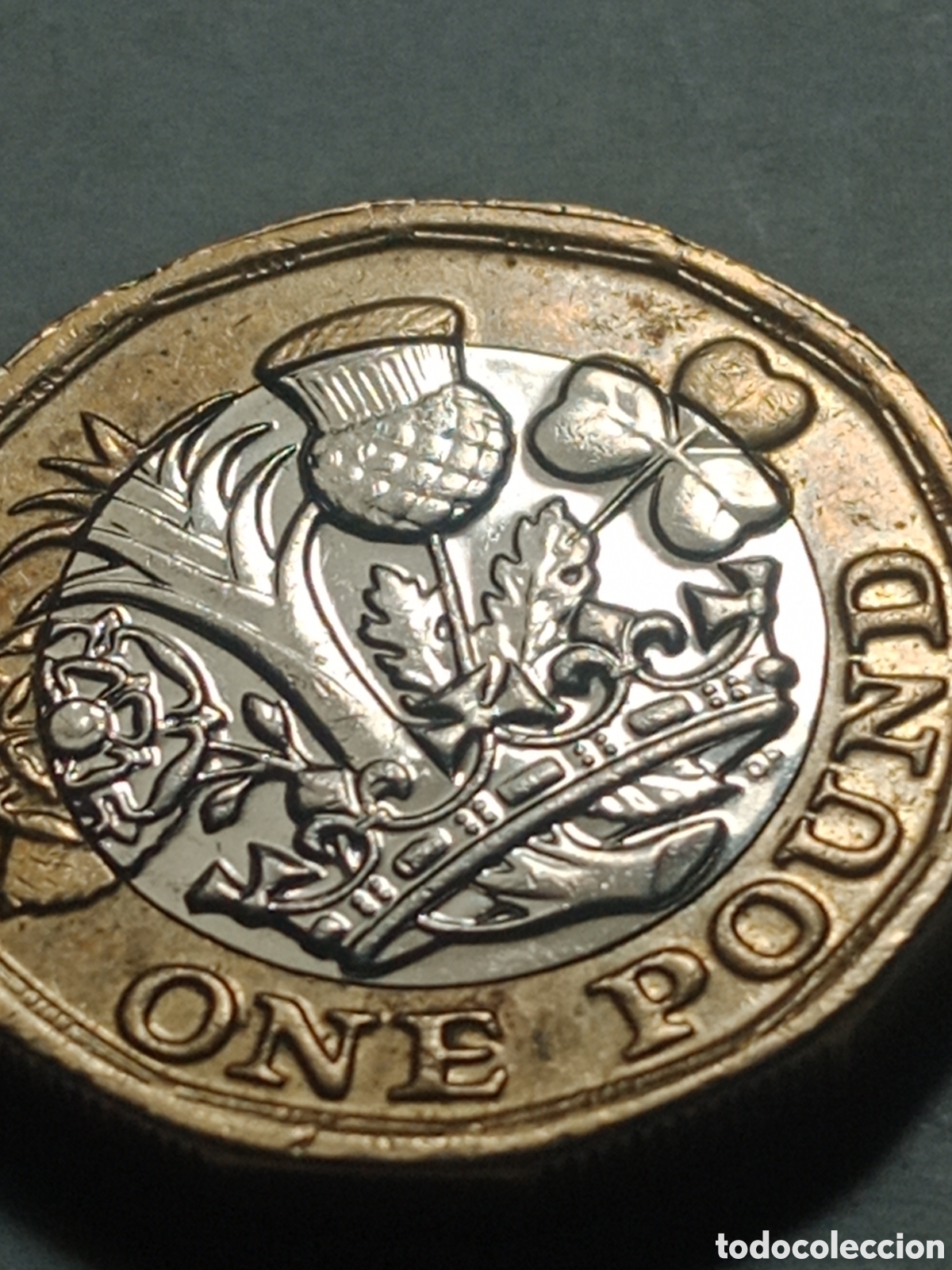 Material numism&aacute;tico: 1 moneda colecci&oacute;n one pound - Foto 6