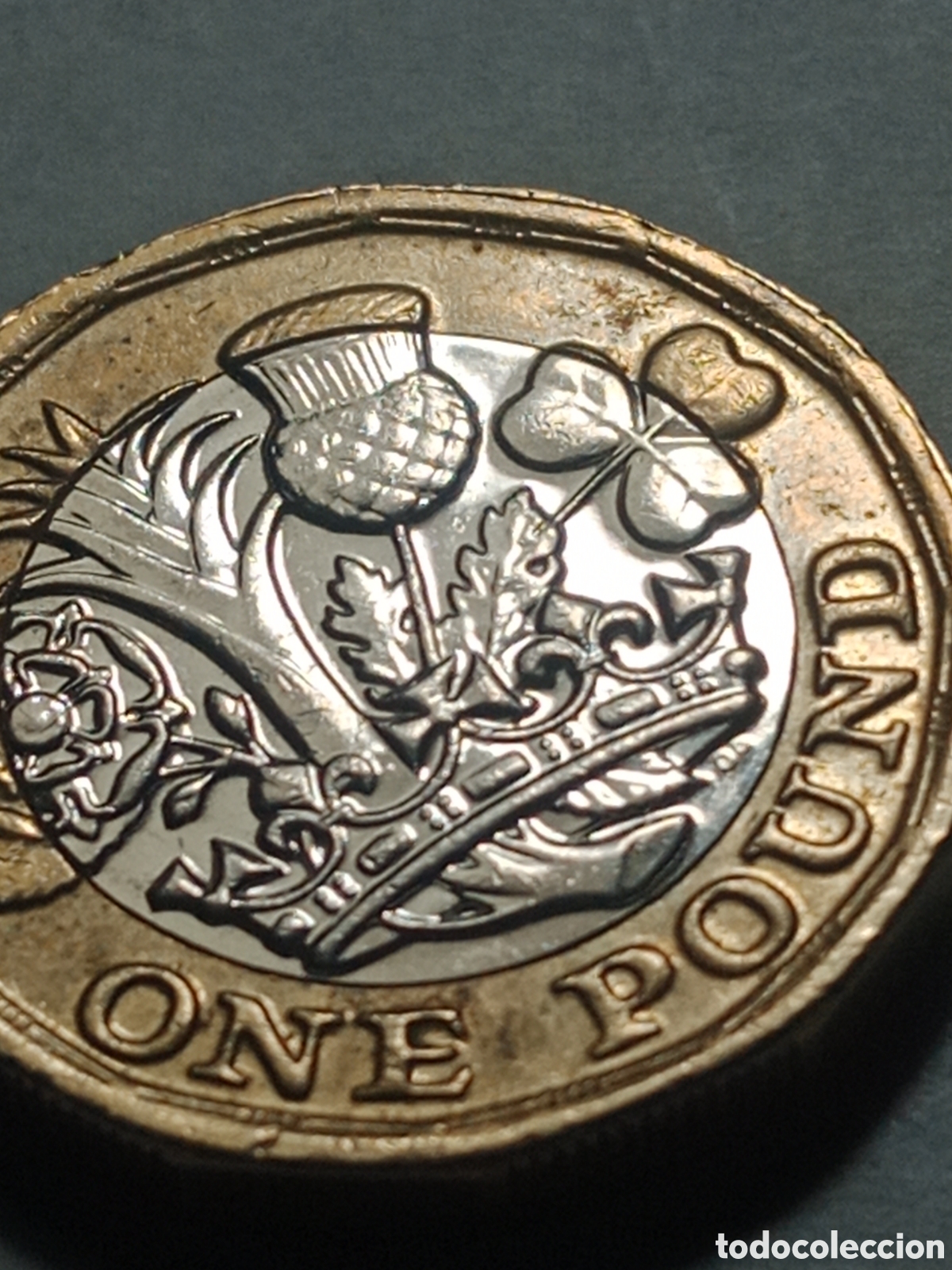 Material numism&aacute;tico: 1 moneda colecci&oacute;n one pound - Foto 1