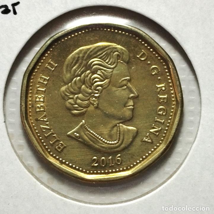 Material numism&aacute;tico: AMERICA . CANAD&Aacute; . 1 DOLLAR 2016 . EXCELENTE - Foto 1
