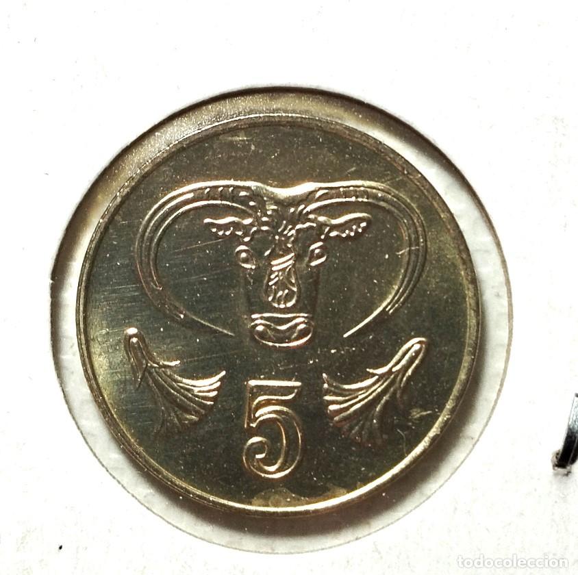 Material numism&aacute;tico: EUROPA . CHIPRE . 5 CENTIMES 1994 . SIN CIRCULAR - Foto 2
