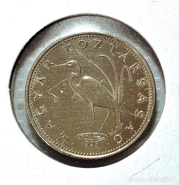 Material numism&aacute;tico: EUROPA . HUNGRIA . 5 FORINT 1993 . SIN CIRCULAR - Foto 1