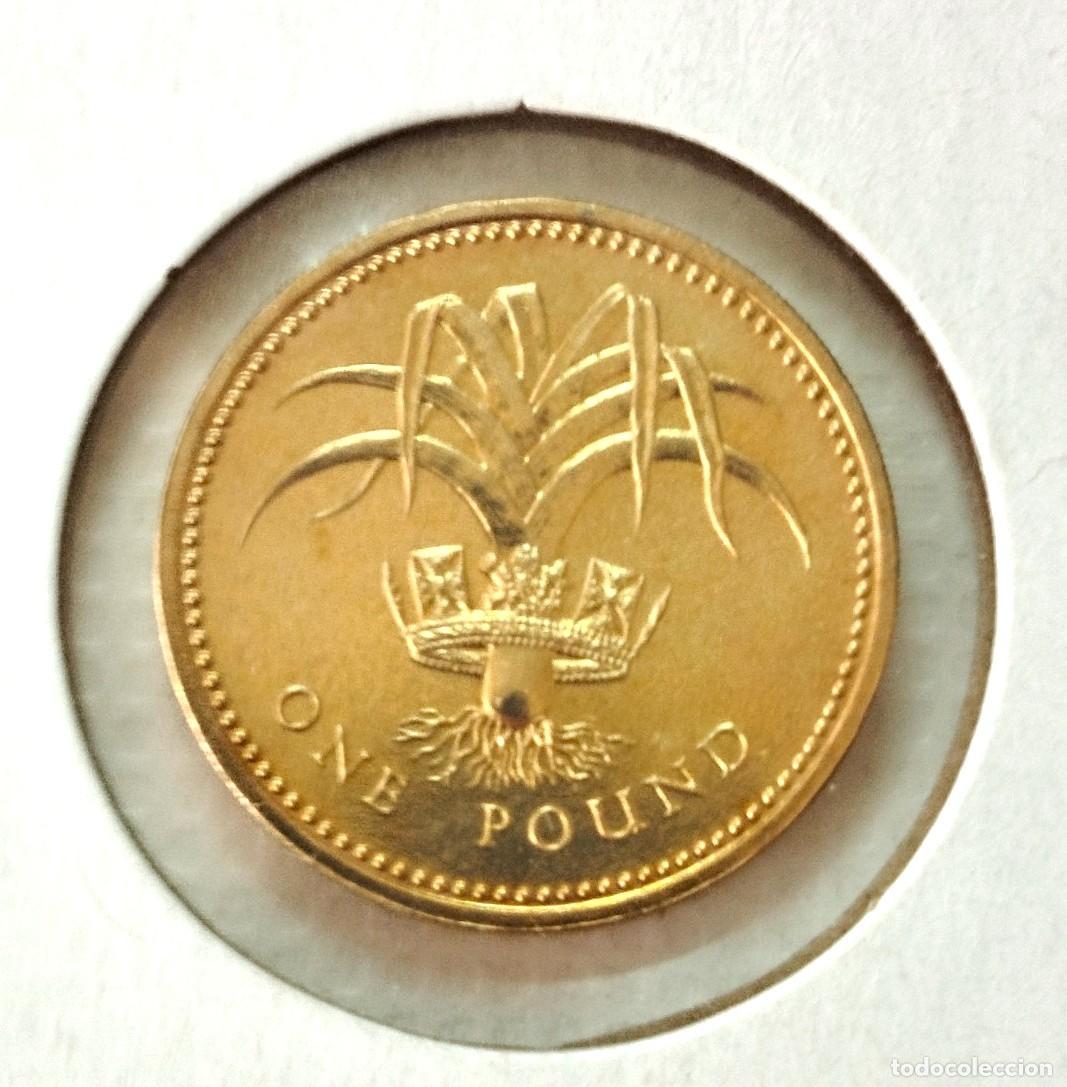 Material numism&aacute;tico: EUROPA . INGLATERRA . 1 POUND-LIBRA 1985 . SIN CIRCULAR - Foto 2