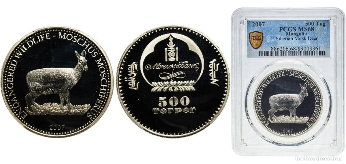 Material numism&aacute;tico: Mongolia Republic 2007 500 T&ouml;gr&ouml;g (Siberian musk deer) Silver 20g PCGS MS 68