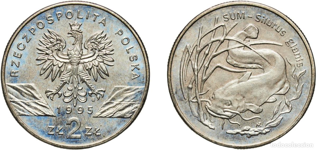 Material numism&aacute;tico: Poland Third Republic 1995 MW 2 Zloty Sum (Silurus glanis)) Copper-nickel Mint of Poland (300000) 1