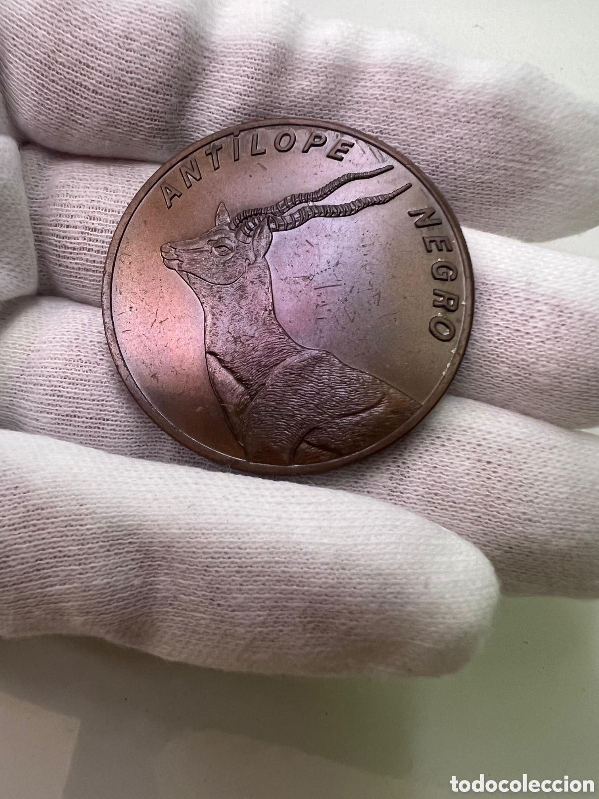 Material numism&aacute;tico: Cuba ,medalla placa trofeo de caza