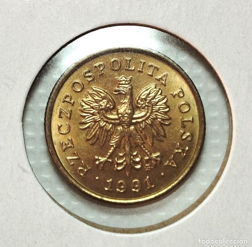 Material numism&aacute;tico: EUROPA . POLONIA . 5 GROSZY 1991 . SIN CIRCULAR