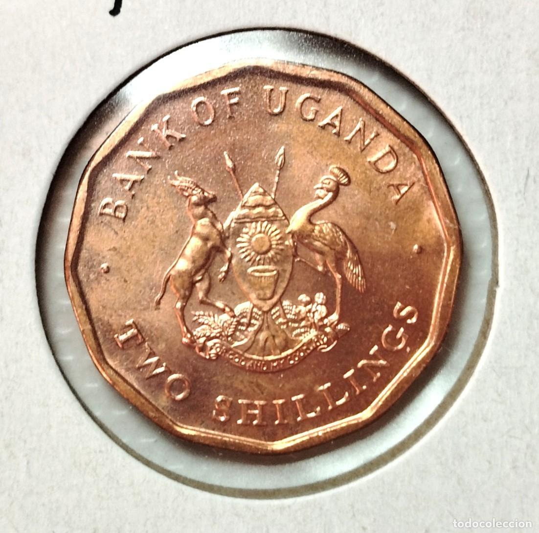 Material numism&aacute;tico: AFRICA . UGANDA . 2 SHILLINGS 1987 . SIN CIRCULAR - Foto 1