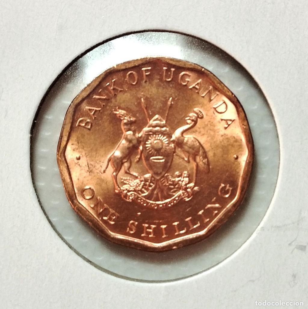Material numism&aacute;tico: AFRICA . UGANDA . 1 SHILLING 1987 . SIN CIRCULAR - Foto 1