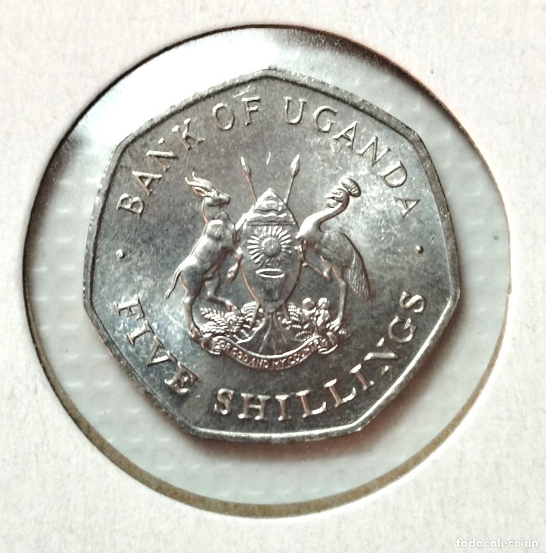 Material numism&aacute;tico: AFRICA . UGANDA . 5 SHILLINGS 1987 . SIN CIRCULAR