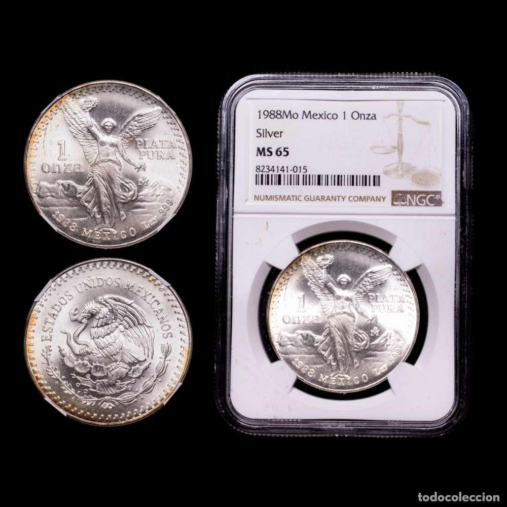 Material numism&aacute;tico: Estados Unidos Mexicanos. 1 Onza. (31,1 g.). M&eacute;xico. 1988. KM-613. Encapsulada por NGC como MS65.