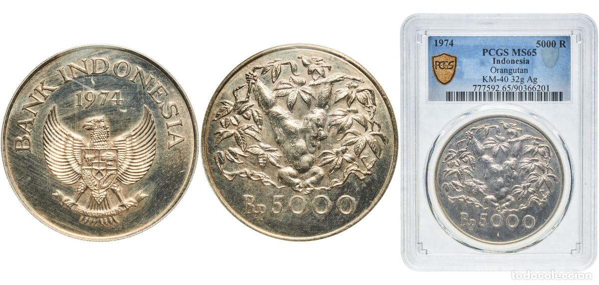 Material numism&aacute;tico: Indonesia Republic 1974 5000 Rupiah (Orangutan) Silver (.925) Royal Mint (17000) 35g PCGS MS 65 KM