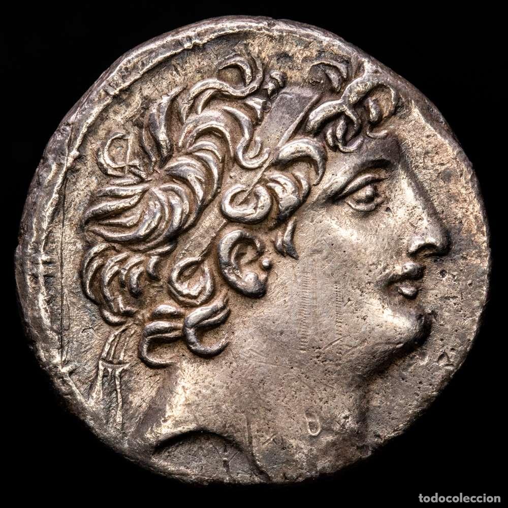 Material numism&aacute;tico: Tetradracma. 115-113 aC ANT&Iacute;OCO VIII. AKE. PTOLEMAIDA. 16,22 grs. AR. SNG Israel I-2593. VF+.