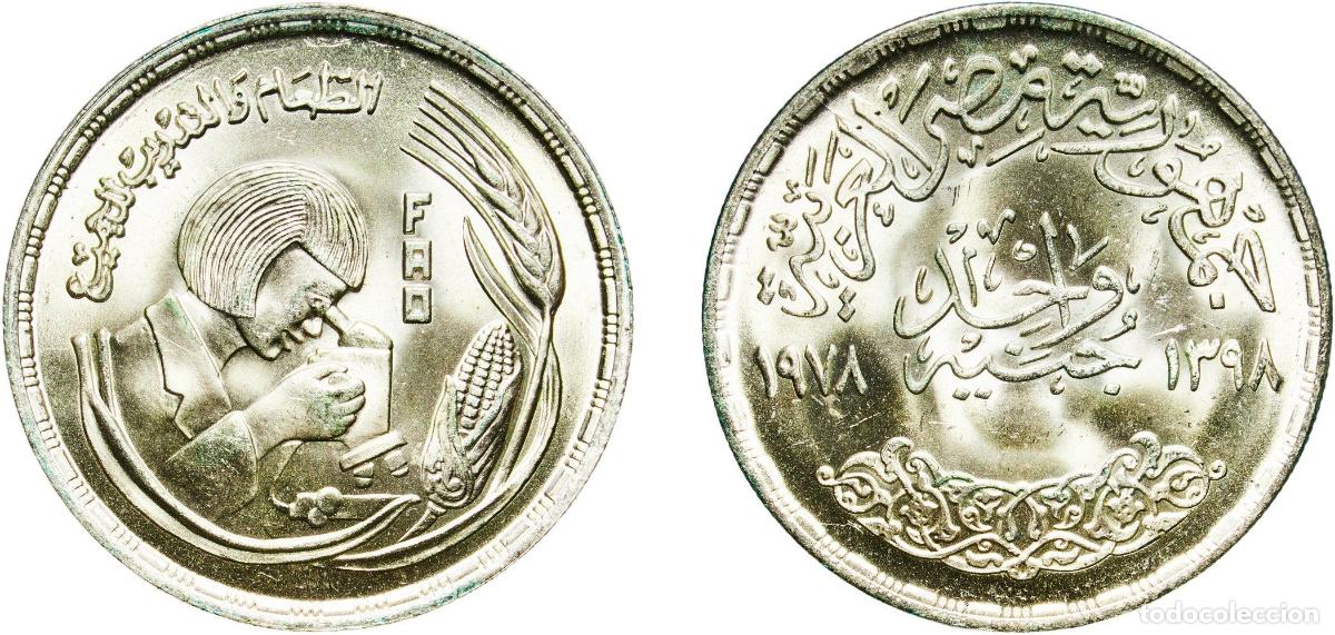 Material numism&aacute;tico: Egypt Arab Republic of Egypt AH1398 (1978) 1 Pound (FAO) Silver (.720) (Copper .280) Cairo Mint (50