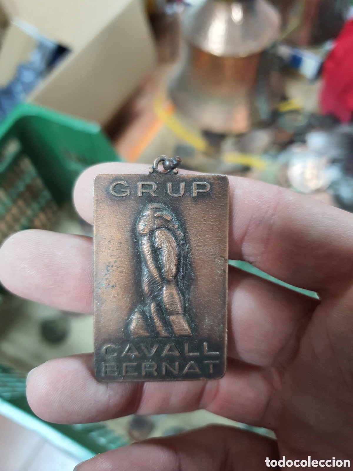 Medallas condecorativas: Medalla cavall bernat - Foto 1