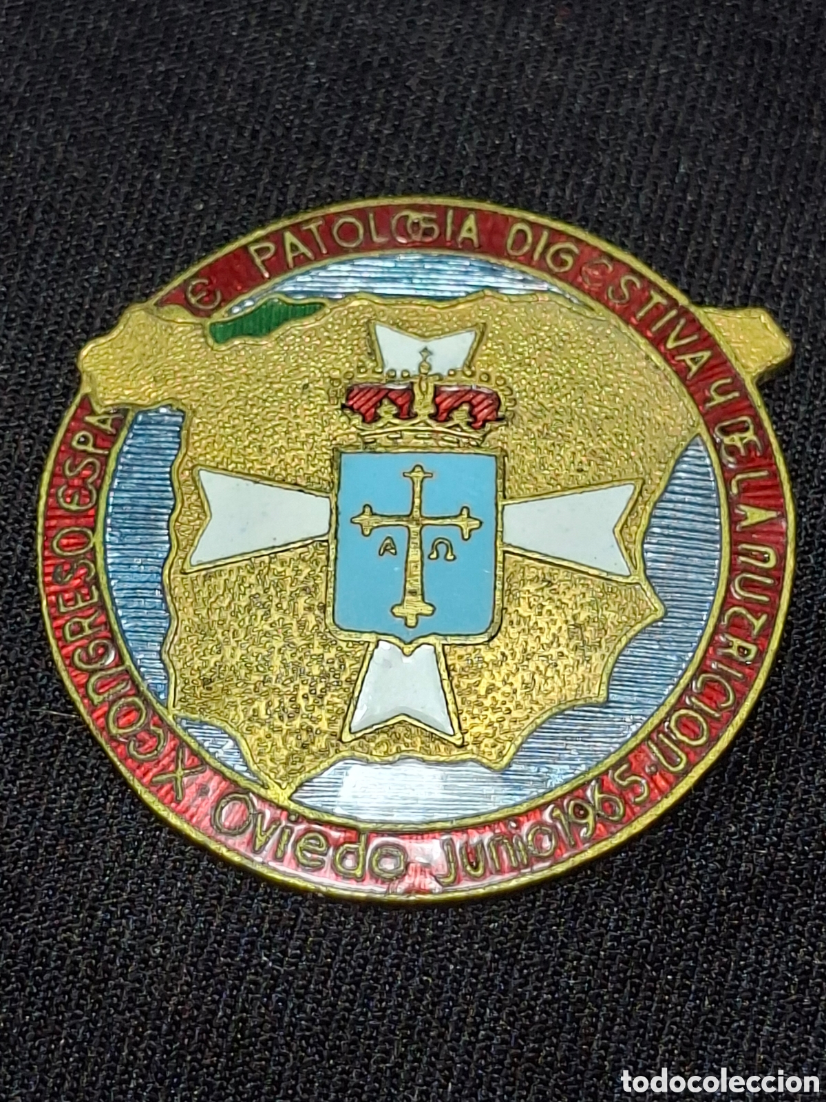 Medallas condecorativas: Insigna X CONGRESO ESPA&Ntilde;OL DE PATOLOG&Iacute;A DIGESTIVA Y DE LA NUTRICI&Oacute;N OVIEDO / MTC2