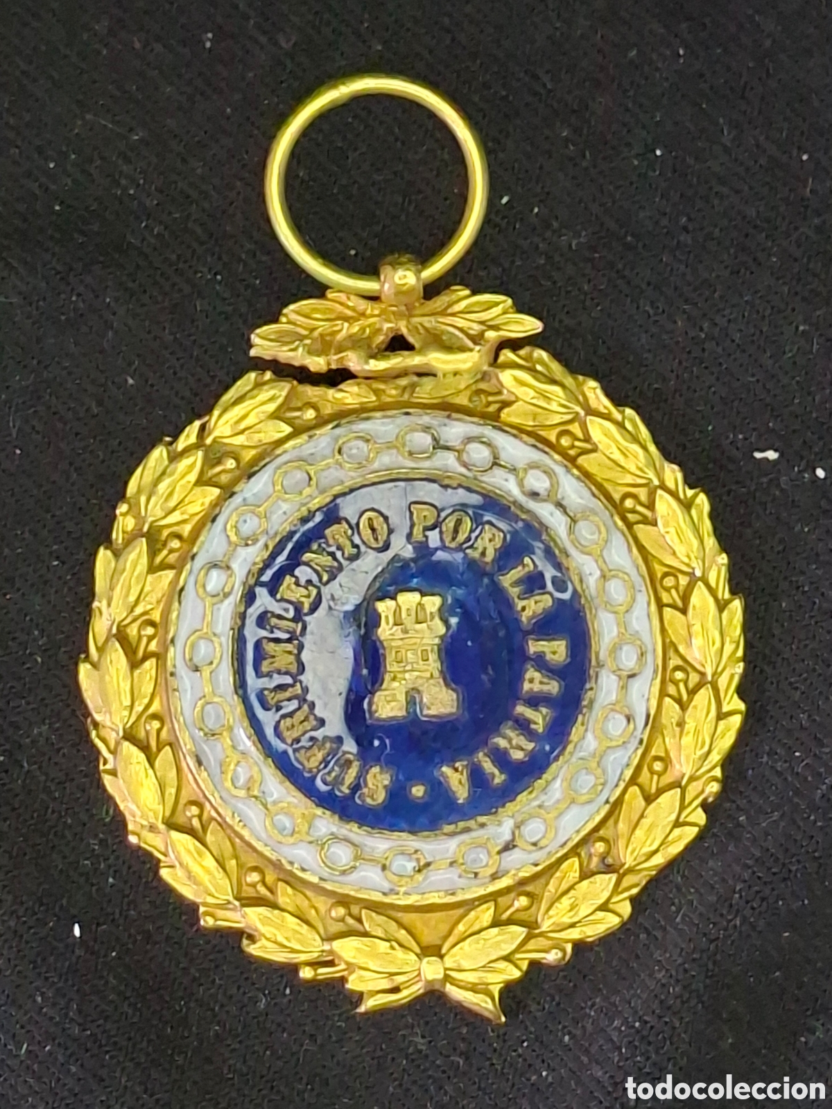 Medallas condecorativas: Medalla Sufrimiento por la Patria&nbsp; reparada. MMTC1