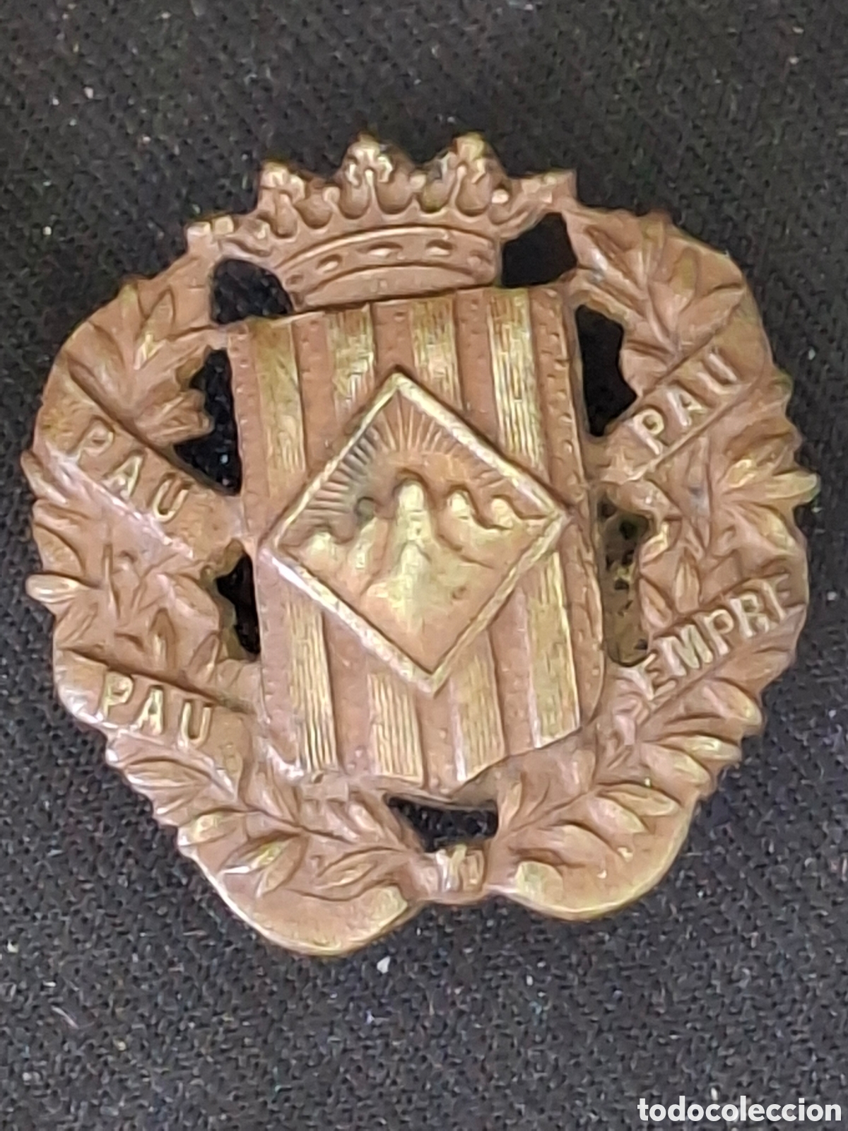 Medallas condecorativas: Insignia de solapa del Somaten de Catalunya. Versi&oacute;n bronce . MTC6