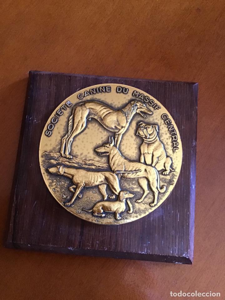 Colecionismo desportivo: PLACA DE METAL DORADO DE SOCIEDAD CANINA - DISE&Ntilde;ADA POR EL ESCULTOR Y MEDALLISTA LUCIEN CARIAT